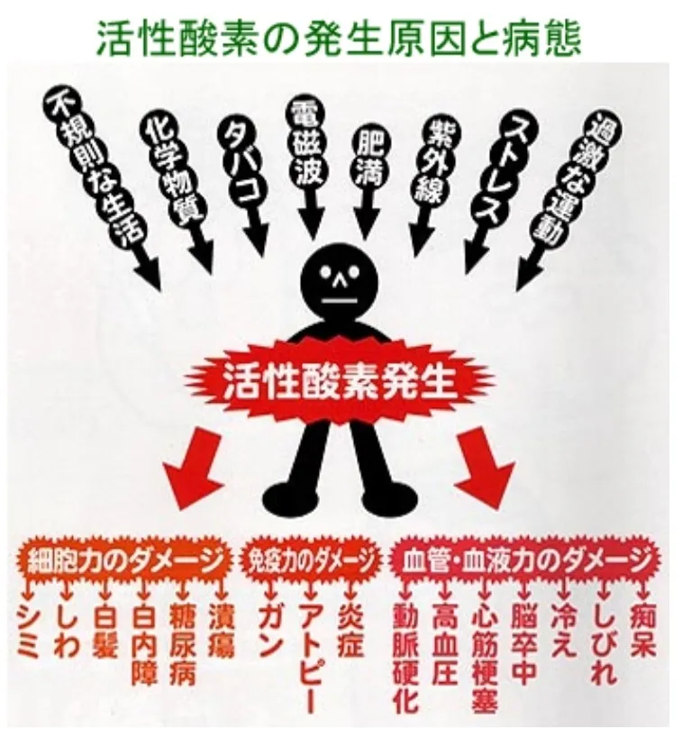 【効果】アンチエイジングと抗酸化作用